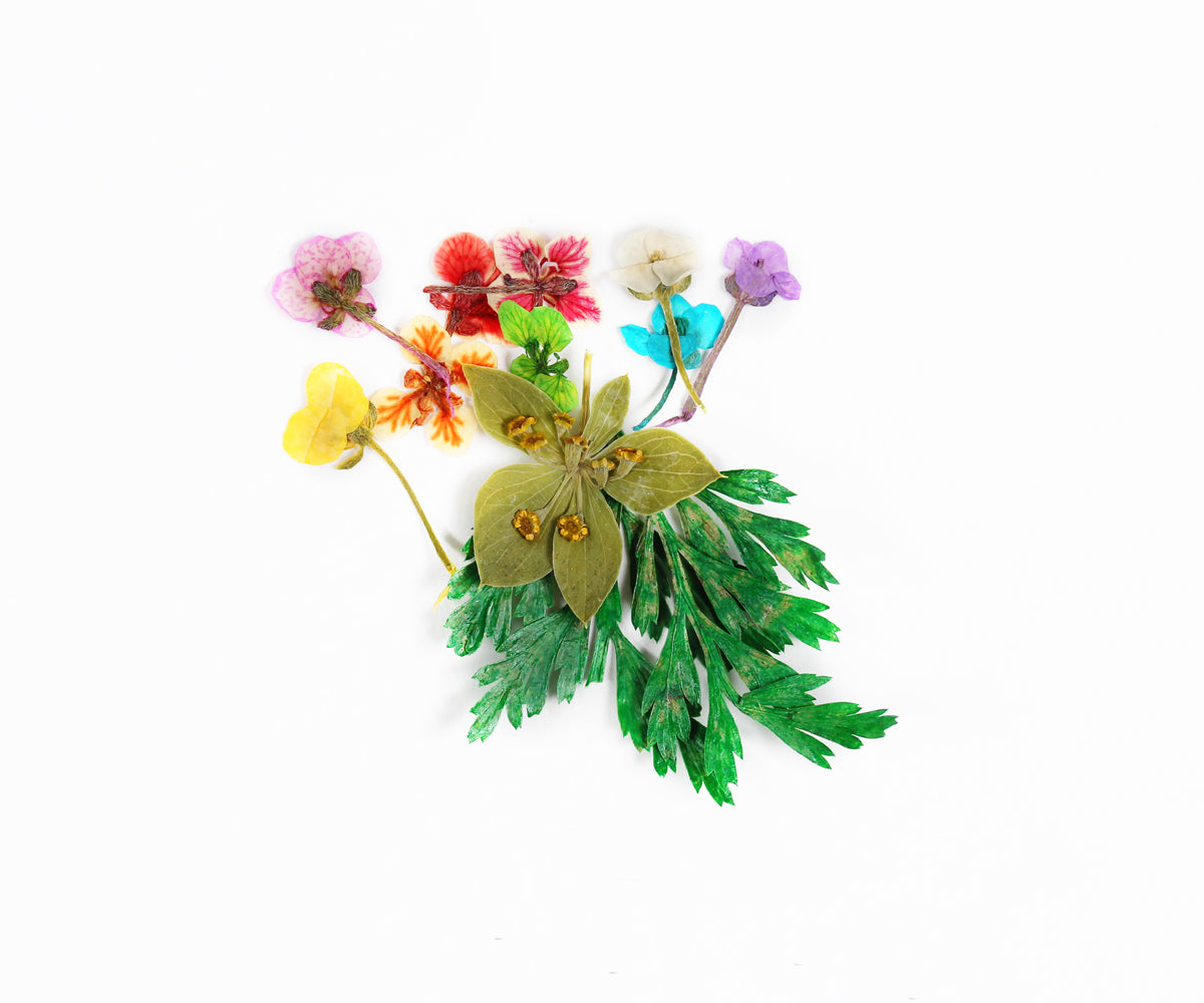 Emmi-Nail Dry Flowers -4-