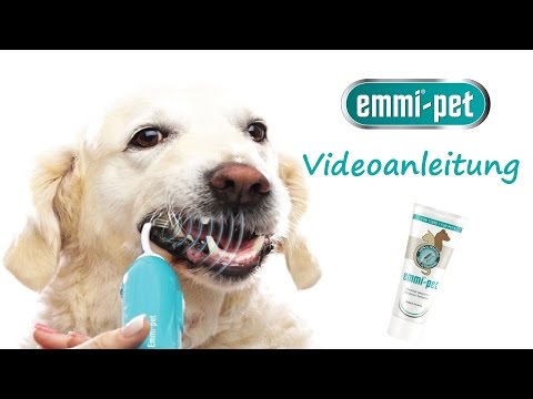 emmi®PET Ultraschall Basis Set