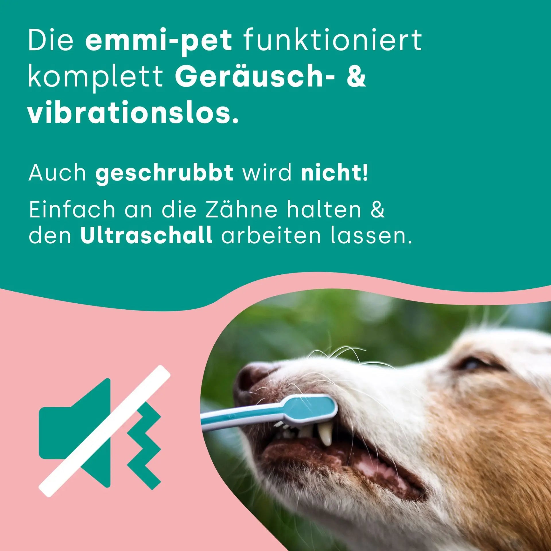 emmi®PET Ultraschall Basis Set