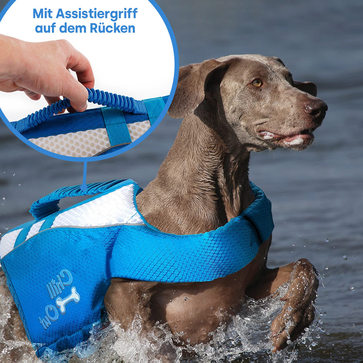 Gilet de sauvetage pour chien taille S