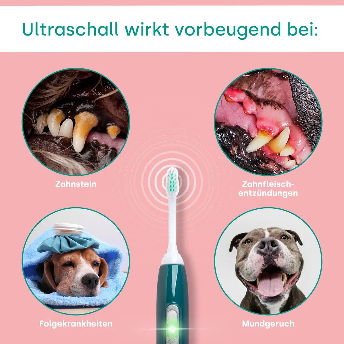 emmi®PET Ultraschall Basis Set