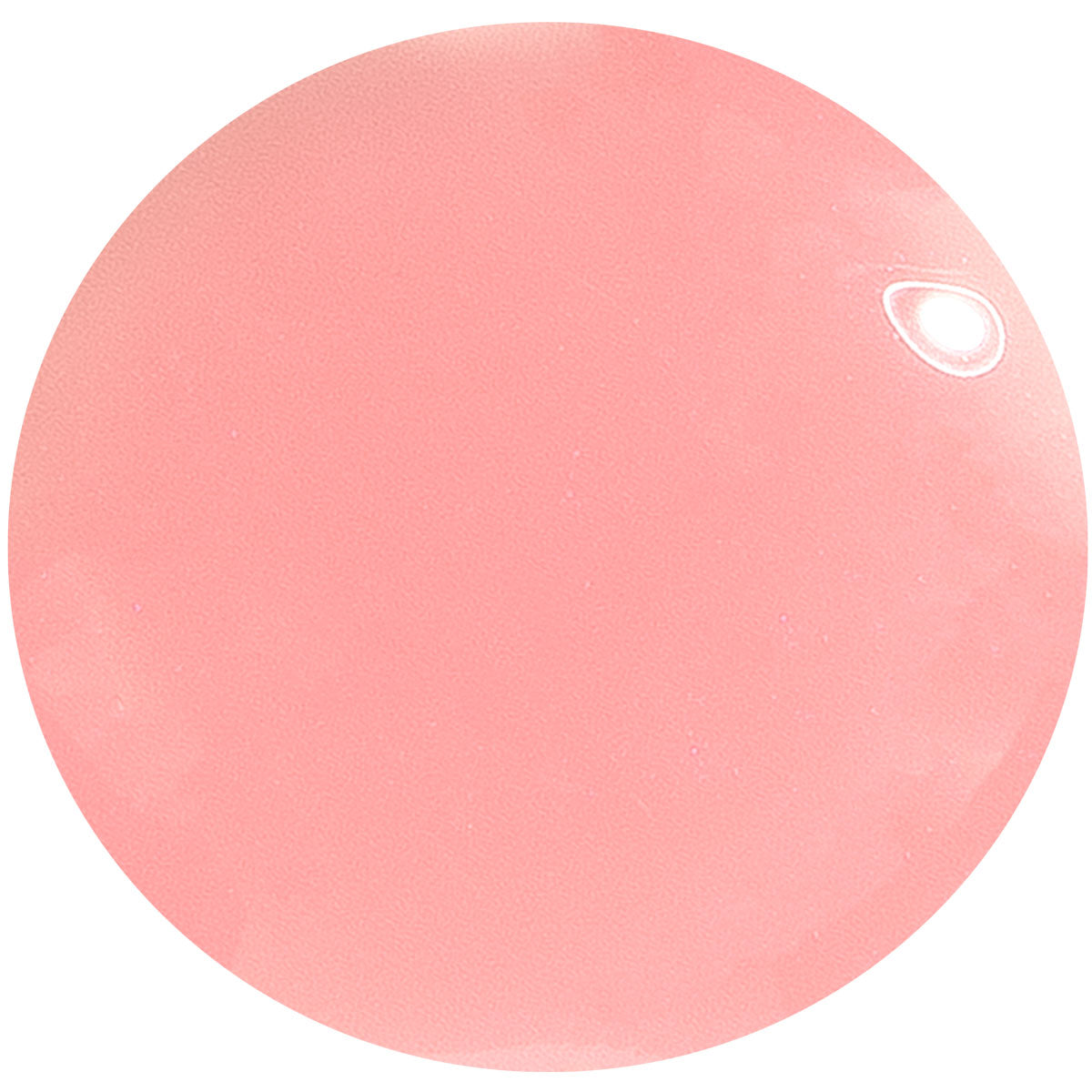 Top 50 UV Polish Set – Bestseller Colors