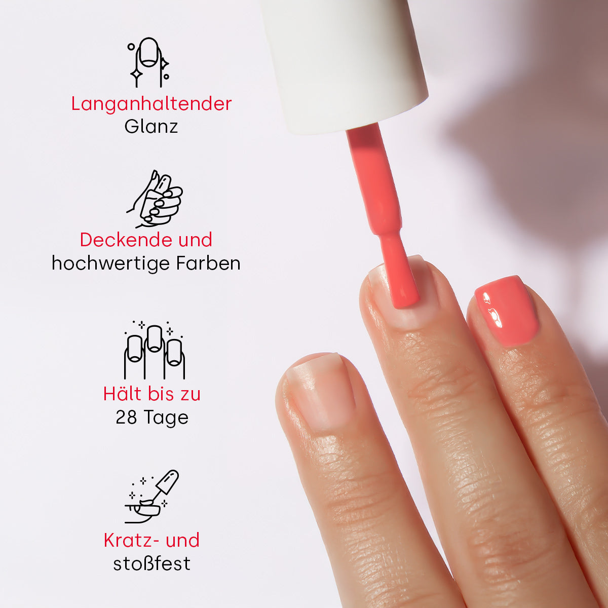 Shellac Starter Set Essentials