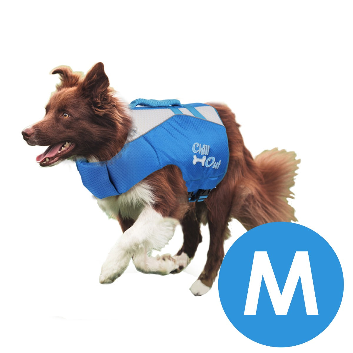 Schwimmweste für Hunde Gr. M