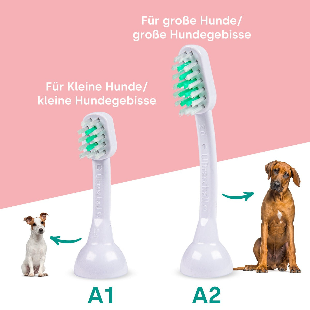 Emmi-pet A2 (M2) - Ultraschallaufsätze für Tiere